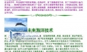 走向海洋手抄报图片