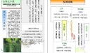 古诗文小报下载