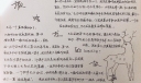 撒哈拉的故事手抄报图片