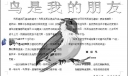 鸟是我的朋友手抄报（word电子版）