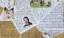 《我是猫》阅读小报