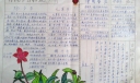传统节日拾趣手抄报