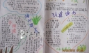 预习手抄报版面图