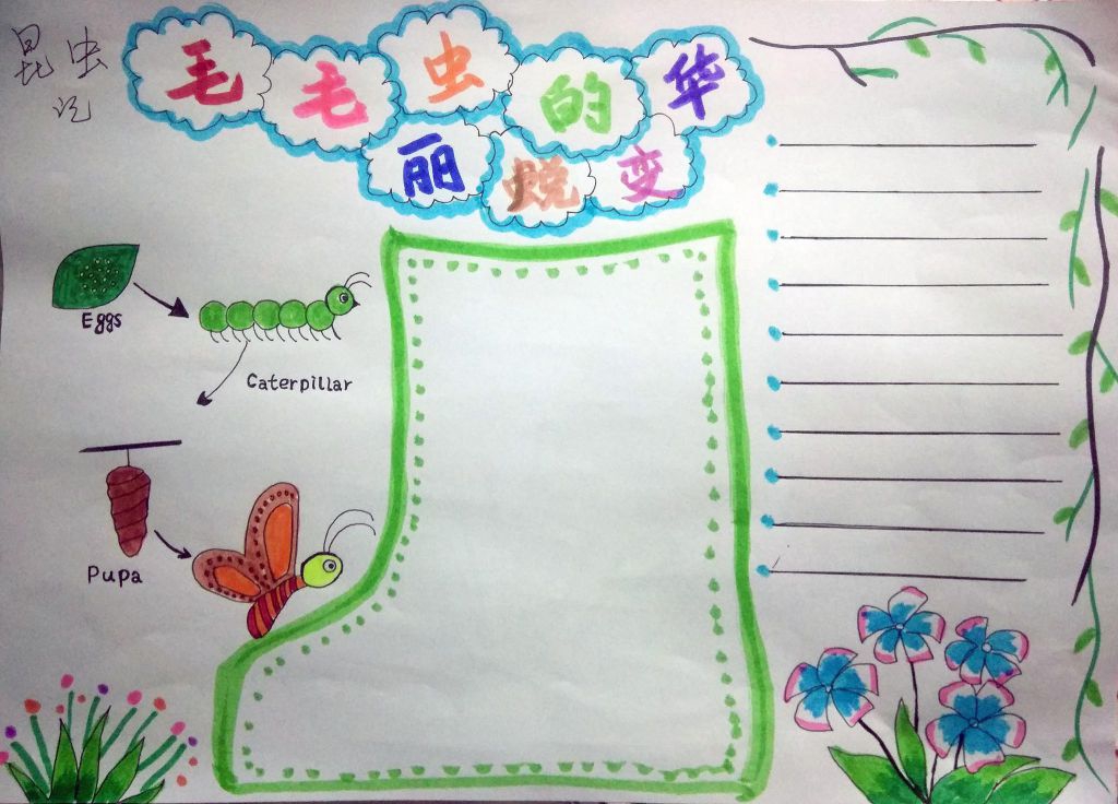 昆虫记之毛毛虫的华丽蜕变手抄报
