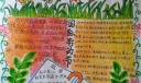 劳动最光荣劳动最美丽手抄报