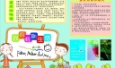 我的假期生活手抄报