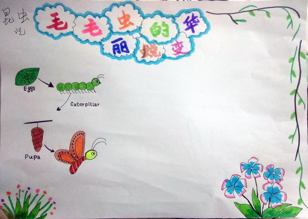 昆虫记之毛毛虫的华丽蜕变手抄报