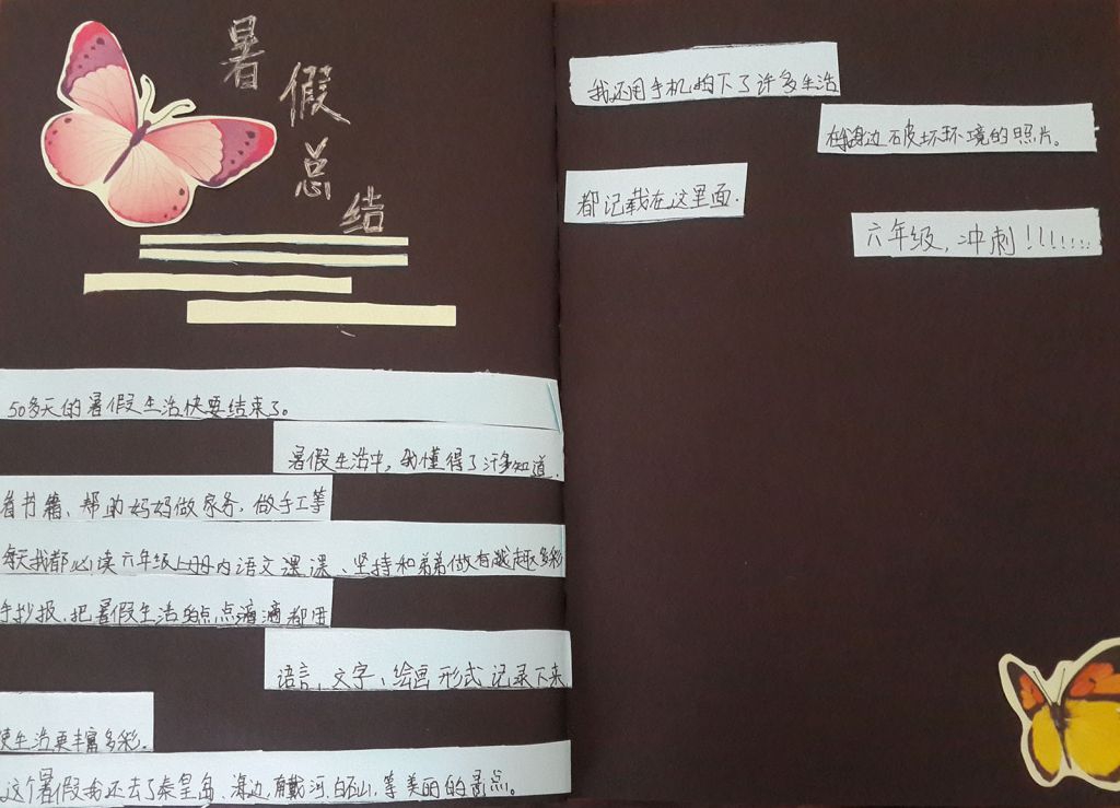 暑假总结手抄报图片荟萃