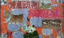 濒危动物终极拯救手抄报