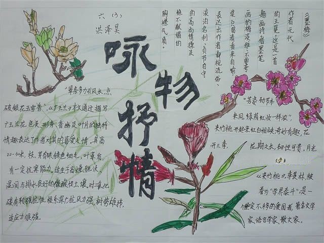 咏物抒情手抄报
