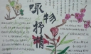 咏物抒情手抄报