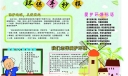 电子环保小报