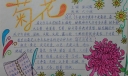 菊花手抄报内容