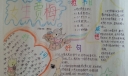 女生贾梅手抄报大全