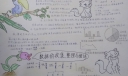 数据的收集整理与描述手抄报