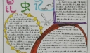 《昆虫记》读书手抄报简单又漂亮