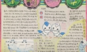 蚕的世界手抄报图片