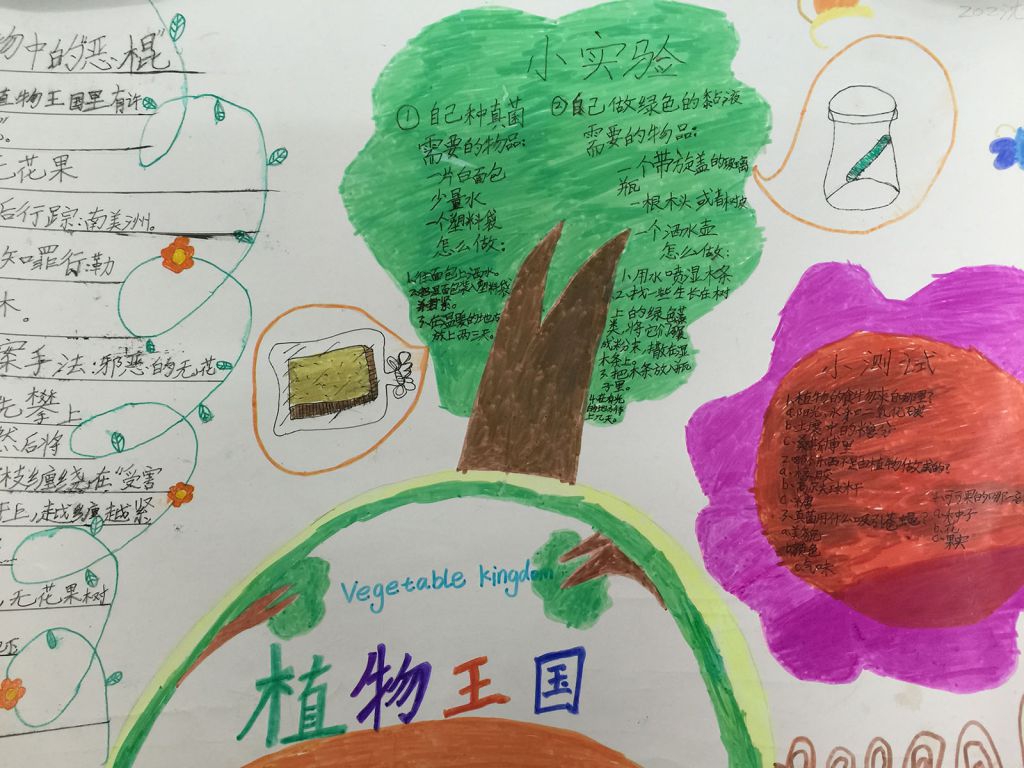 猴年假期读书手抄报