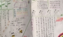 寒假好书推荐手抄报