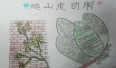 爬山虎的脚手抄报