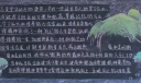 人生在勤迈向高三黑板报