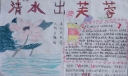 清水出芙蓉手抄报
