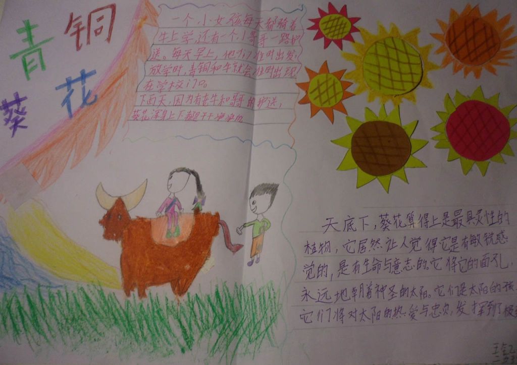 悦读分享青铜葵花手抄报