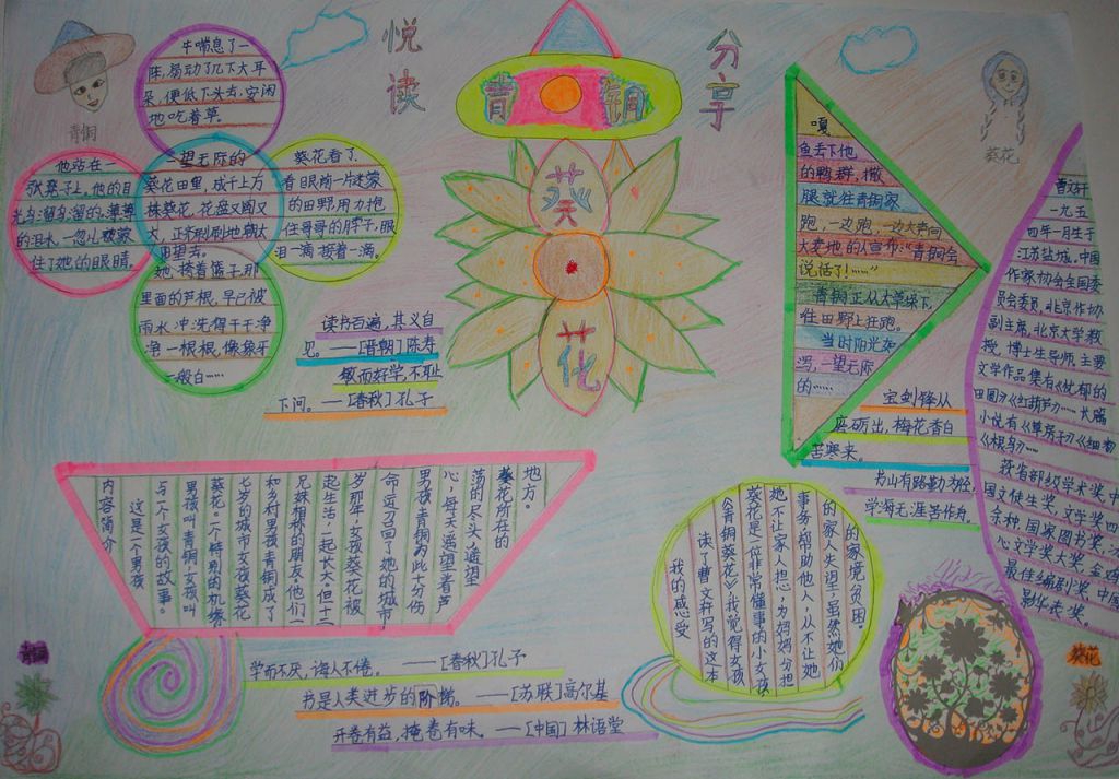 悦读分享青铜葵花手抄报
