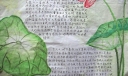 读书吧少年手抄报