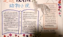 走进沈石溪动物小说手抄报