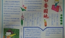 书香园地手抄报