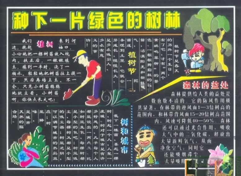 植树节专题黑板报设计：种下一片绿色的树林