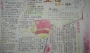 五四九十一周年手抄报专刊