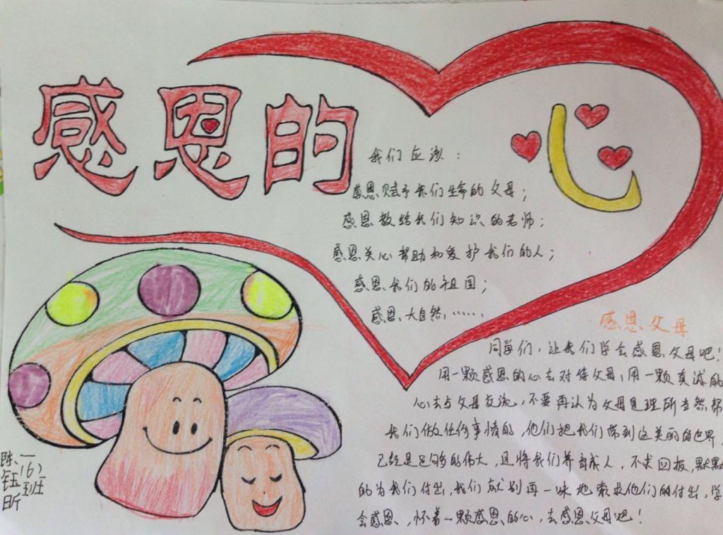 感恩父母我们在行动手抄报