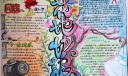 色彩艳丽的手抄报_花地快报