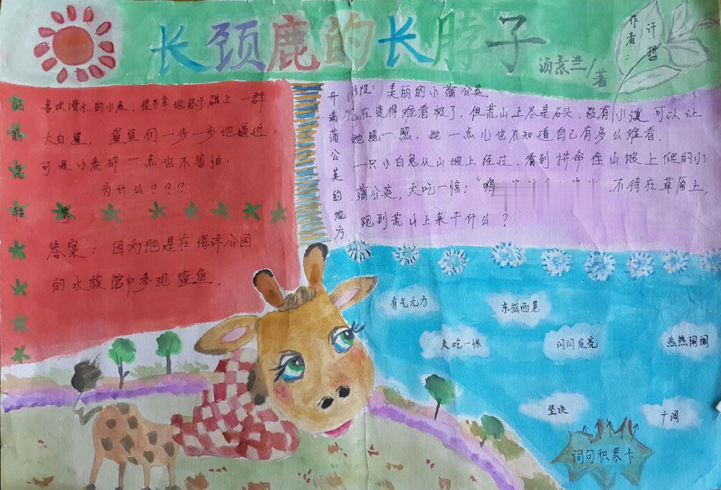 长颈鹿的长脖子手抄报