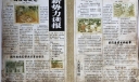 新势力读报样式图