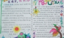 阳光幼苗手抄报图片