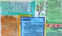 初中阅读分享手抄报版面设计图