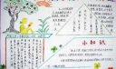 小学生数学手抄报：数学就在我们身边