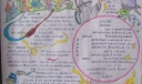 数学手抄报版面设计图