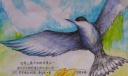 飞鸟集手抄报封面图片