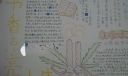 书香点亮人生手抄报