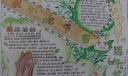 端午节获奖手抄报作品展示