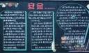 119消防专题黑板报