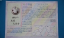 大运手抄报作品