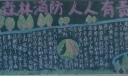 森林消防人人有责黑板报作品