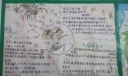 六年级读书小报