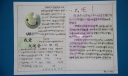 我爱大运会手抄报作品图片展示