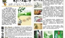 端午节电子手抄报：粽情端午